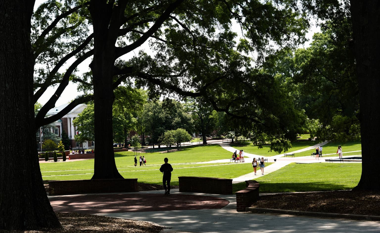 View of main campus green