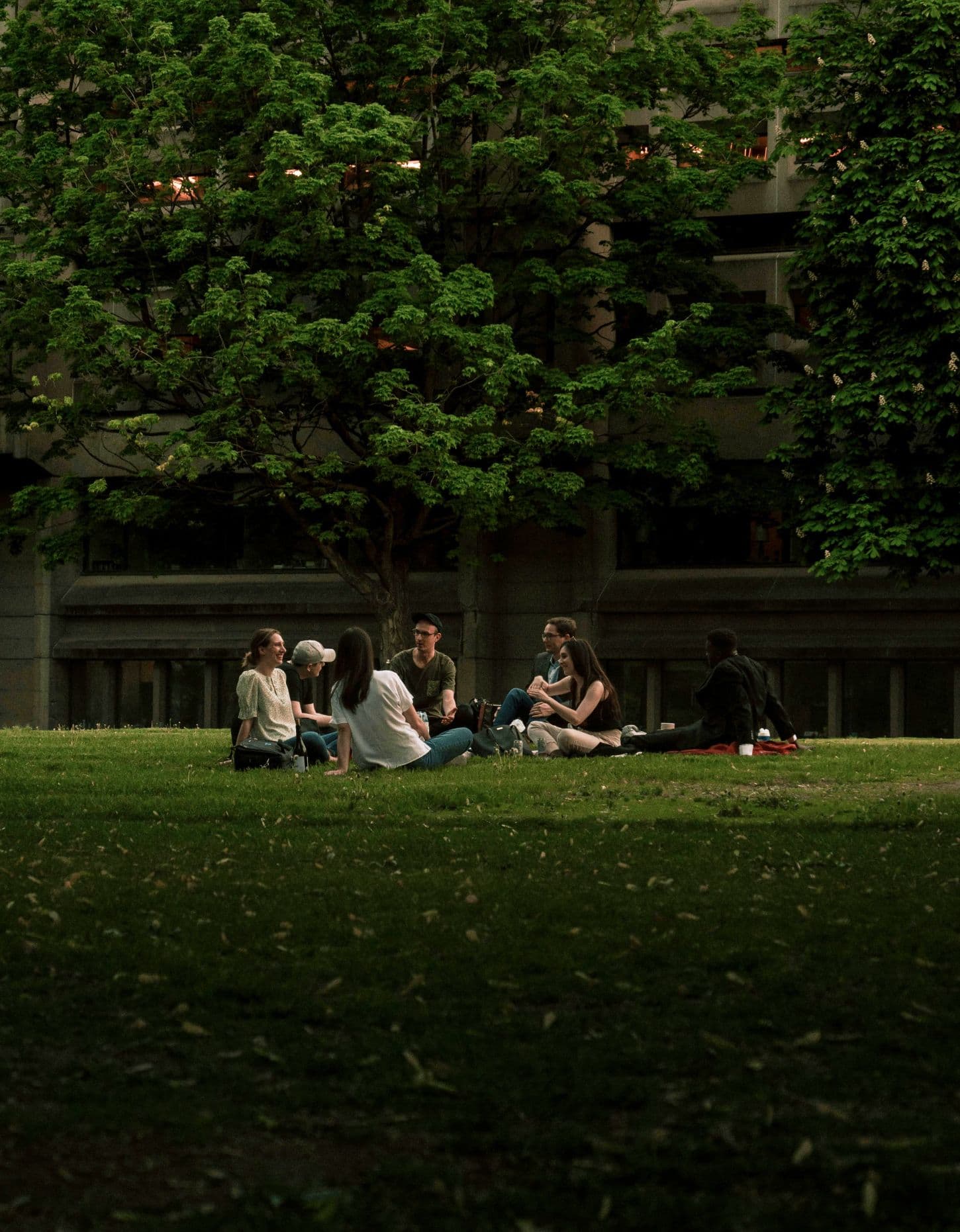 People hanging out on the grass