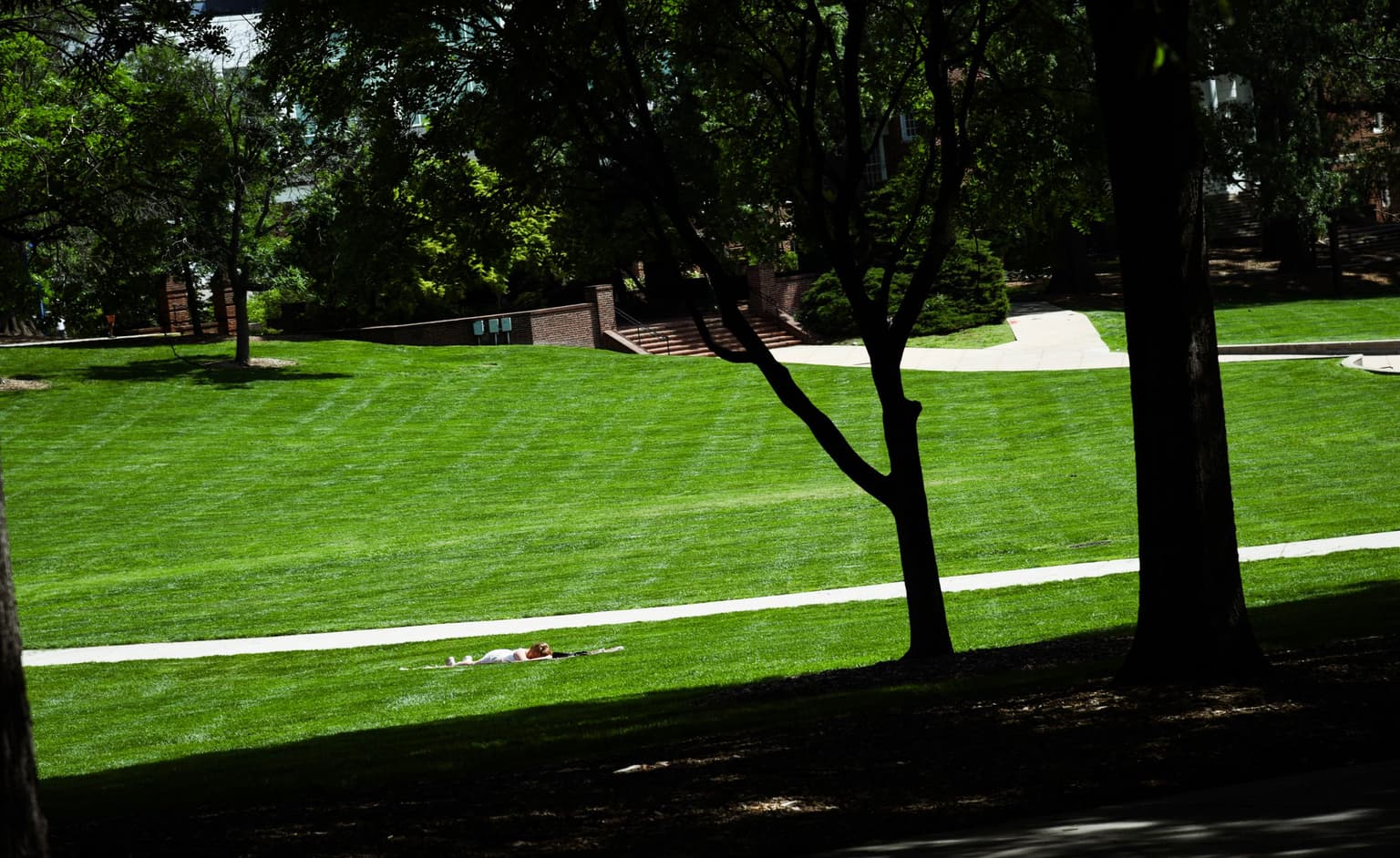 Person laying in the sun on campus green