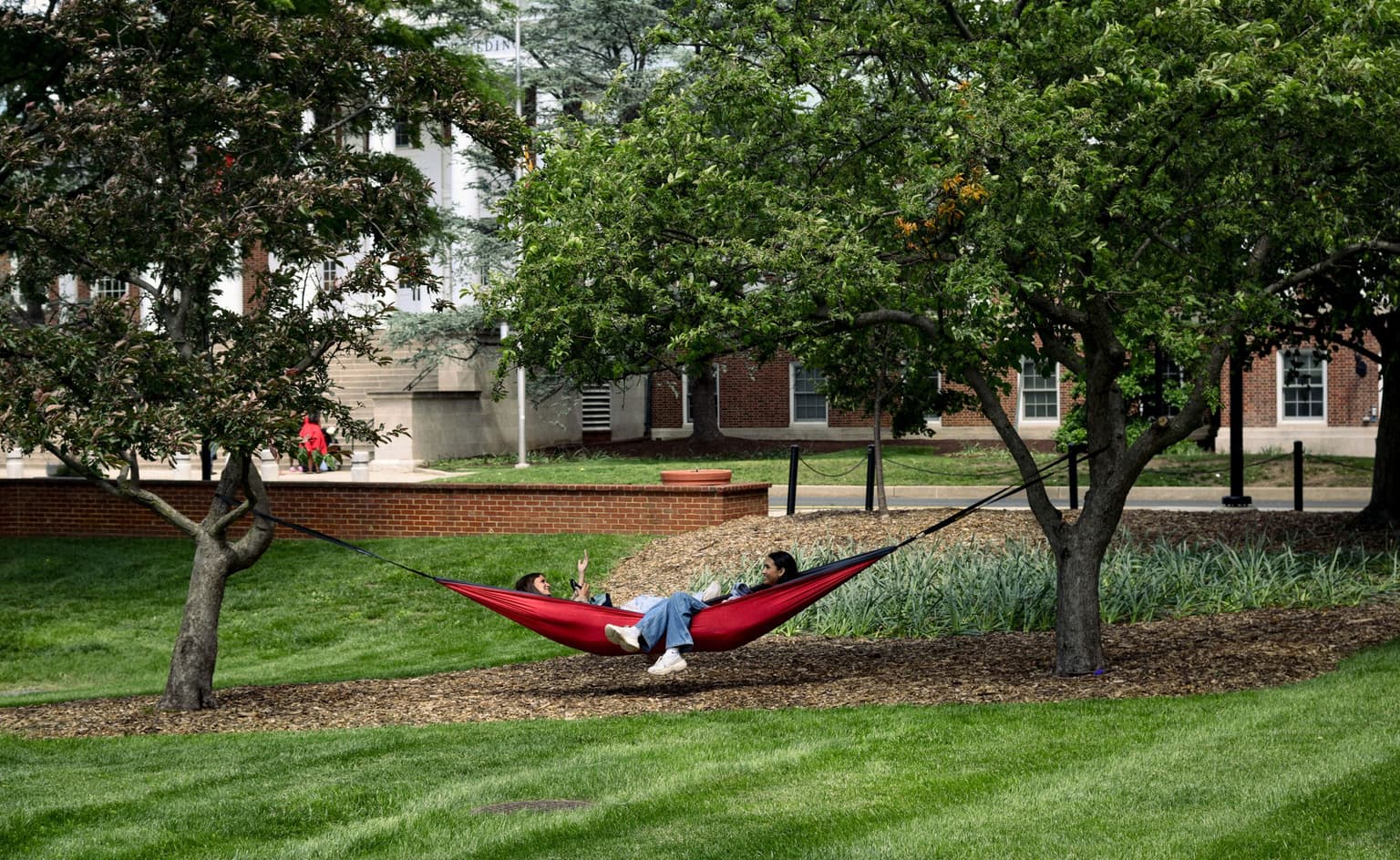 Hammock between trees on campus