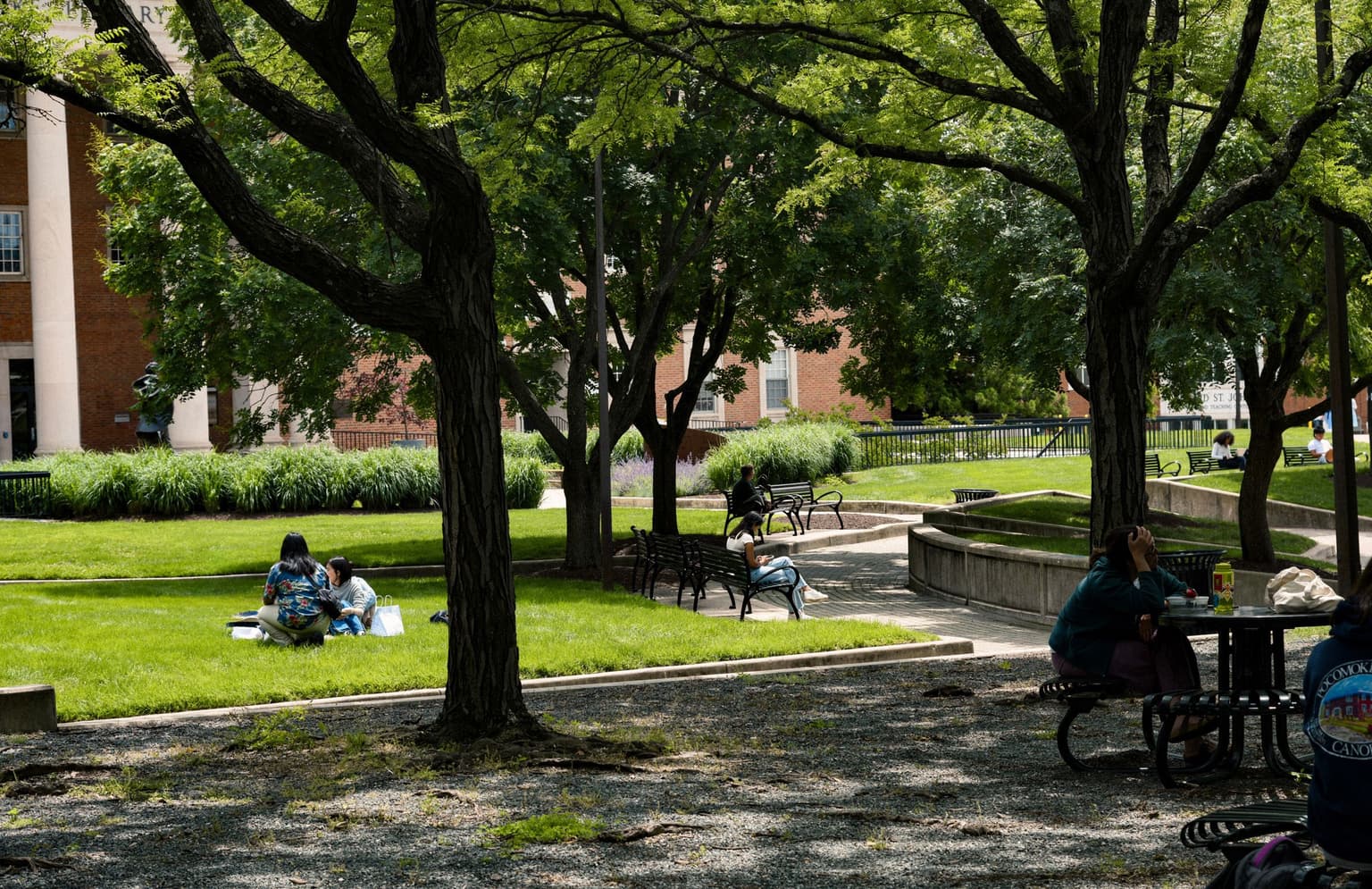 Hanging out on campus